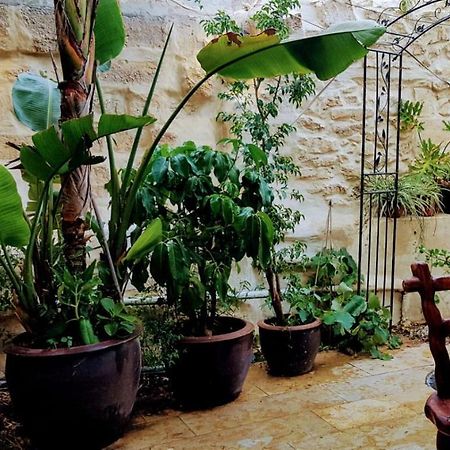 הגן הקסום, הצימר בבאר שבע Otel Dış mekan fotoğraf